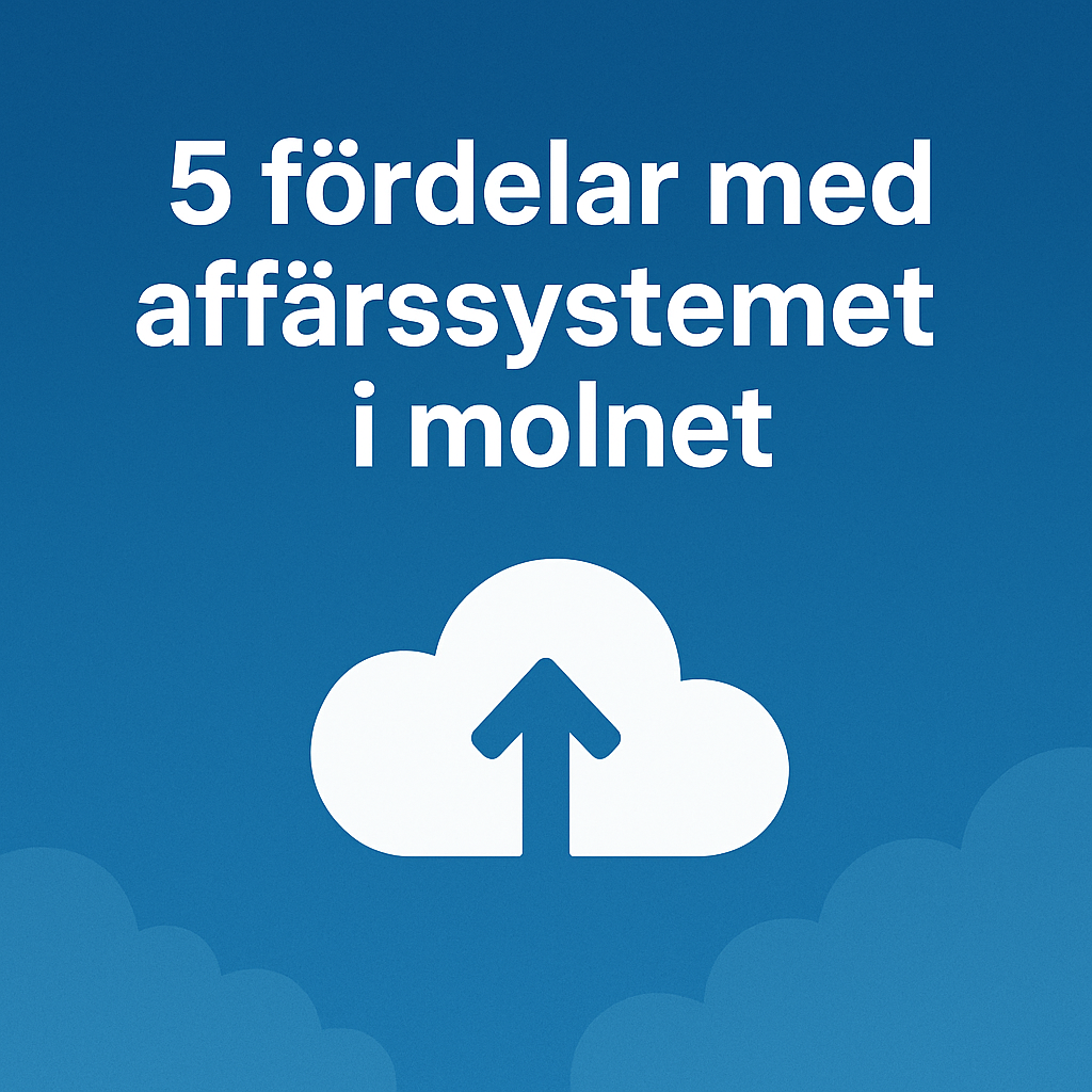 5 Fördelar med affärssystemet i molnet